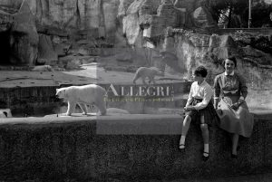 Zoo nel Castello di Brescia anni sessanta - © Diritti Riservati